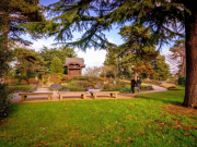 Japanese Gateway and landscape – RBG Kew