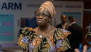 Rosamund Adoo Kissi-Debrah CBE, the leading air quality and child health campaigner
