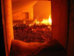 Biomass is 