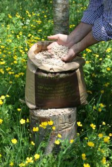 UK Pellet Council gears up for RHI
