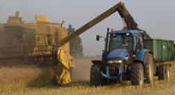 Liquid biofuel fuelling new research  