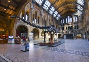 EMCOR treasures historic deal with Natural History Museum 