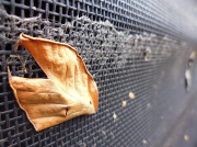 ECEX will showcase its Air Intake Screens at the HVACR Show next year. 