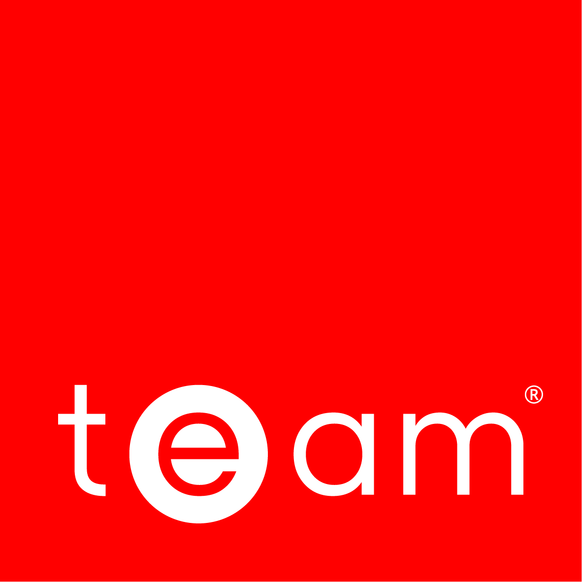 TEAM Energy 