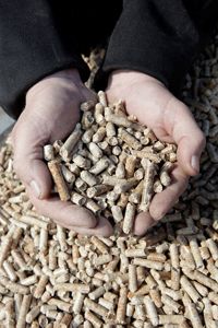 First British wood pellet producer to receive EU certification