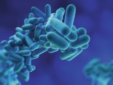 Expert warns over lack of legionella investment